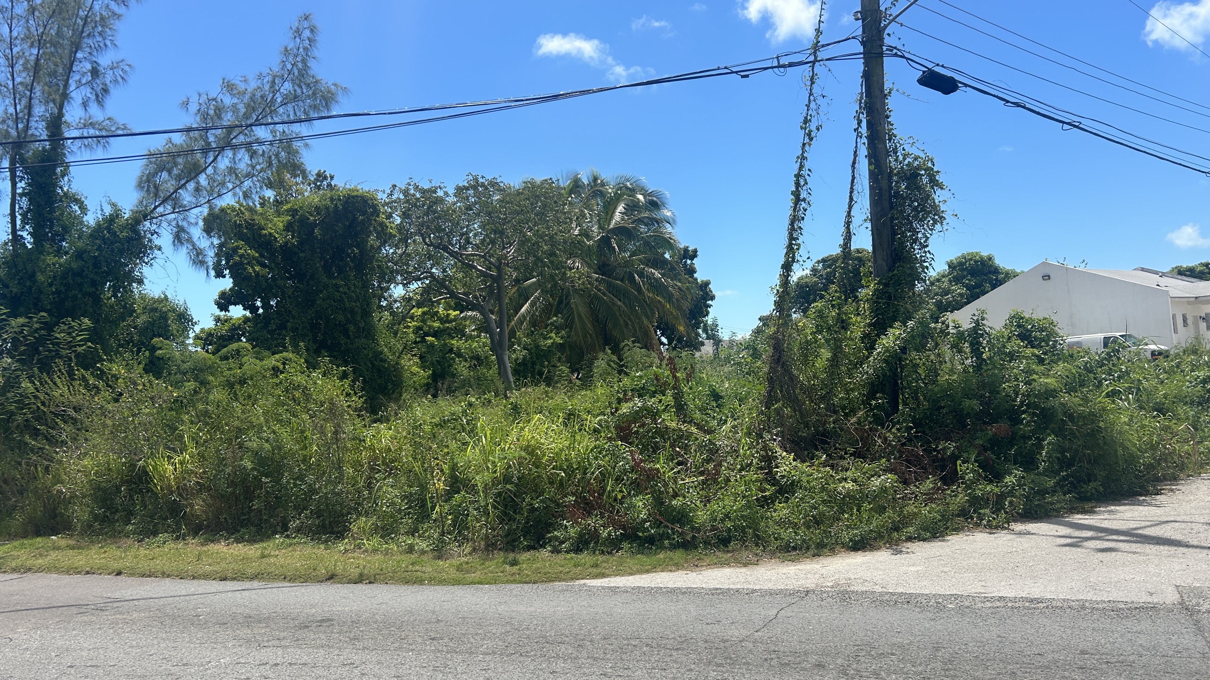 Joe Farrington Road & Meadows Drive, New Providence/Paradise Island 